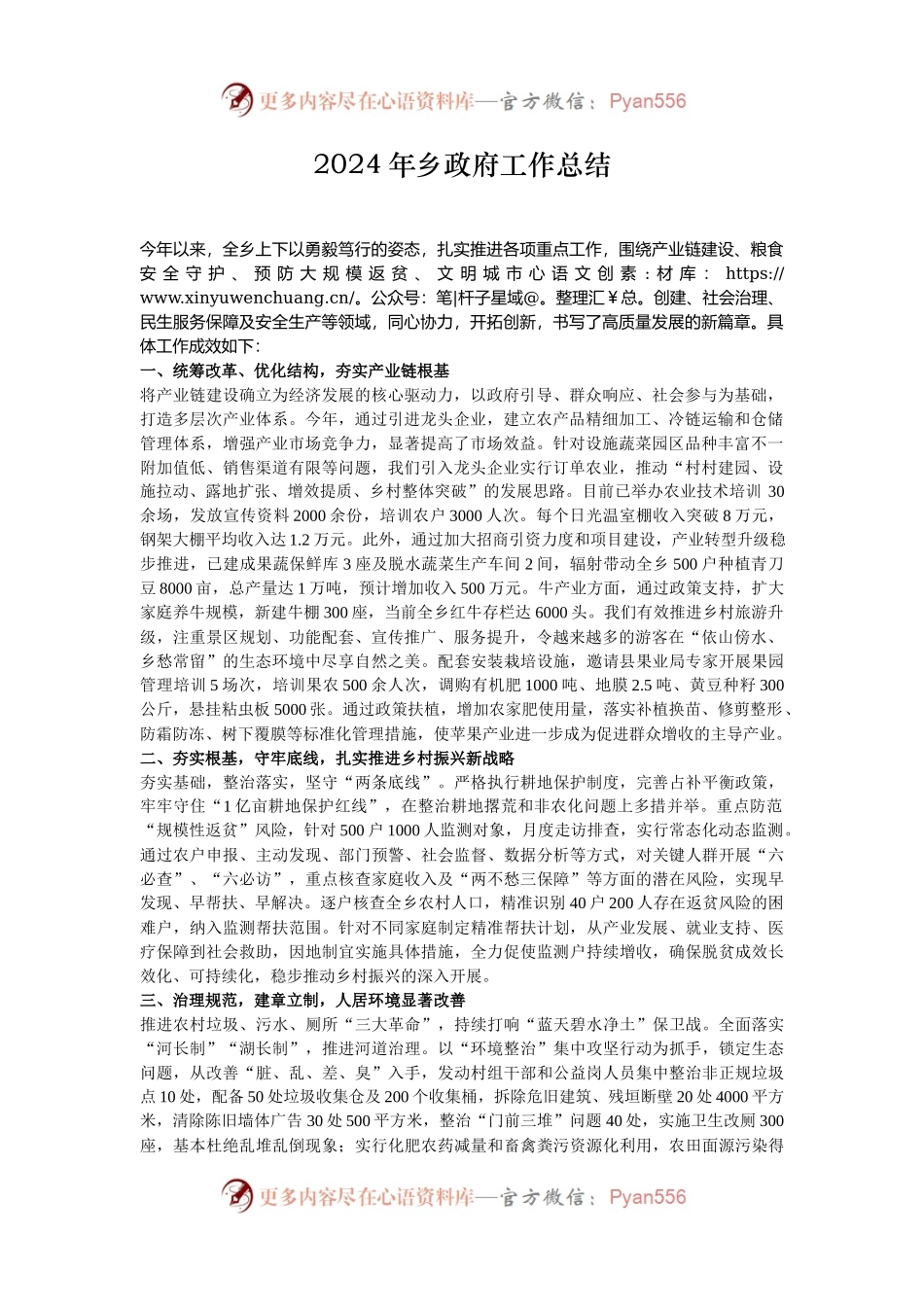 2024年乡政府工作总结.docx_第1页