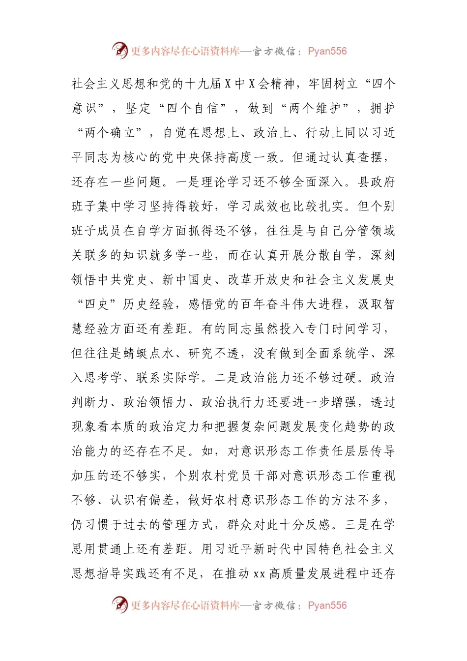 56班子2021年专题民主生活会对照检查材料（政府）.docx_第2页