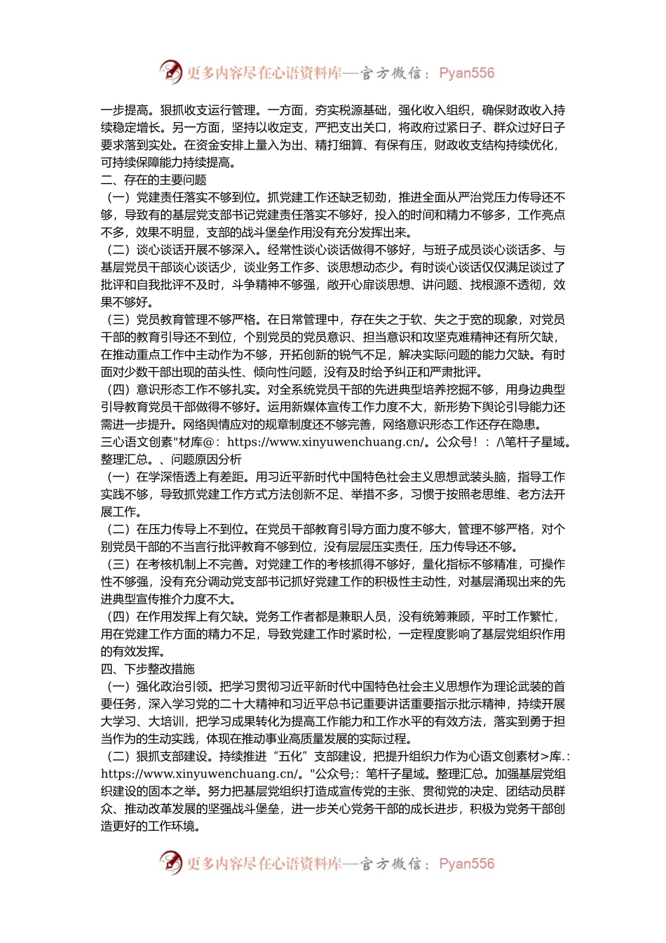 2024年党组织书记履行“第一责任人”职责情况报告.docx_第2页