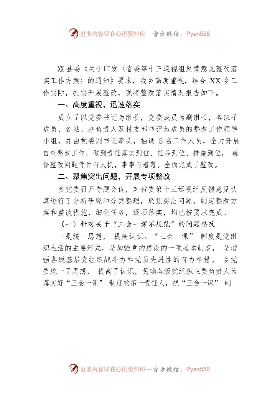 XX乡委员会关于巡察整改工作进展情况的报告(20230504).docx_第1页
