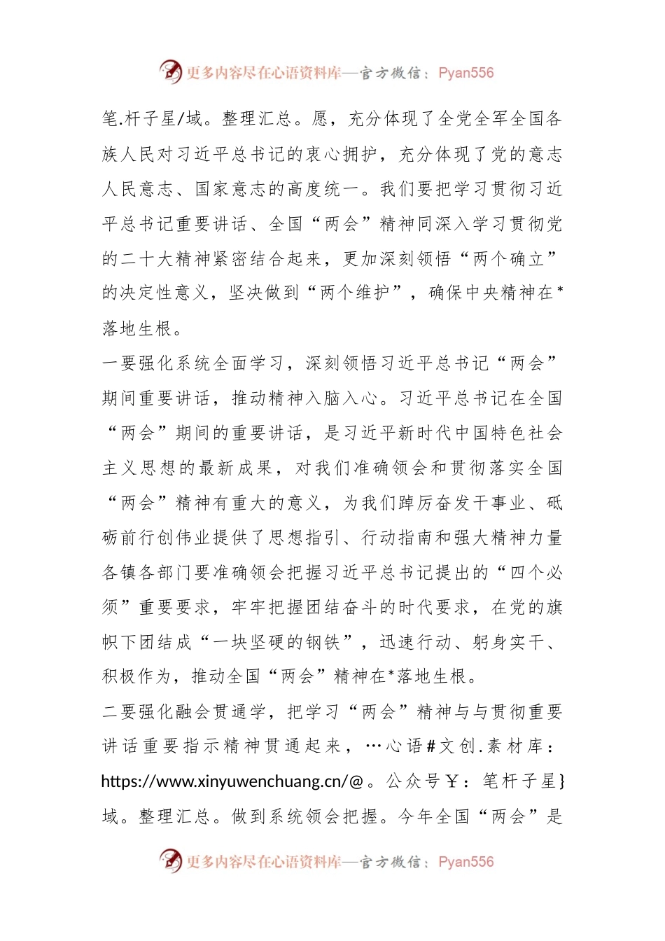 XX在学习2023年全国“两会”精神大会上的发言.docx_第2页