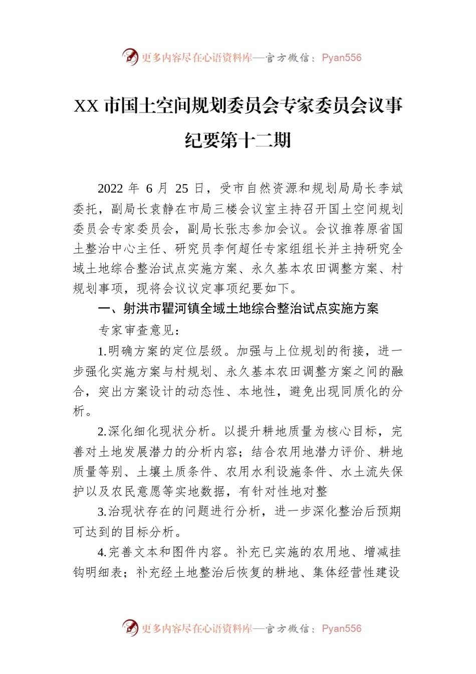 XX市国土空间规划委员会专家委员会议事纪要第十二期（20220625）.docx_第1页
