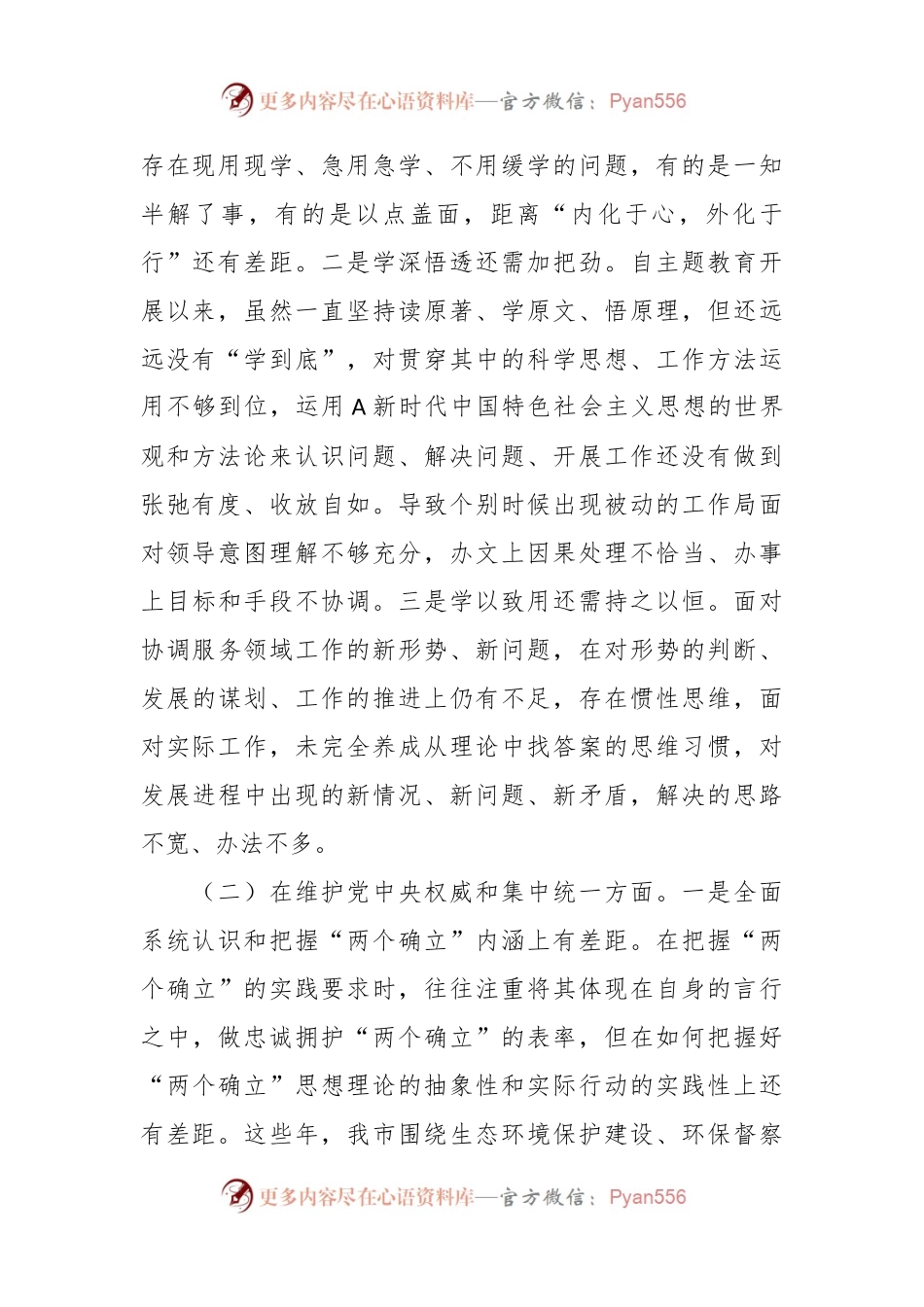 2023年度主题教育民主生活会个人对照检查（政府办）.docx_第2页