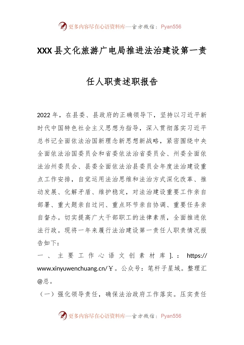 XXX县文化旅游广电局推进法治建设第一责任人职责述职报告.docx_第1页