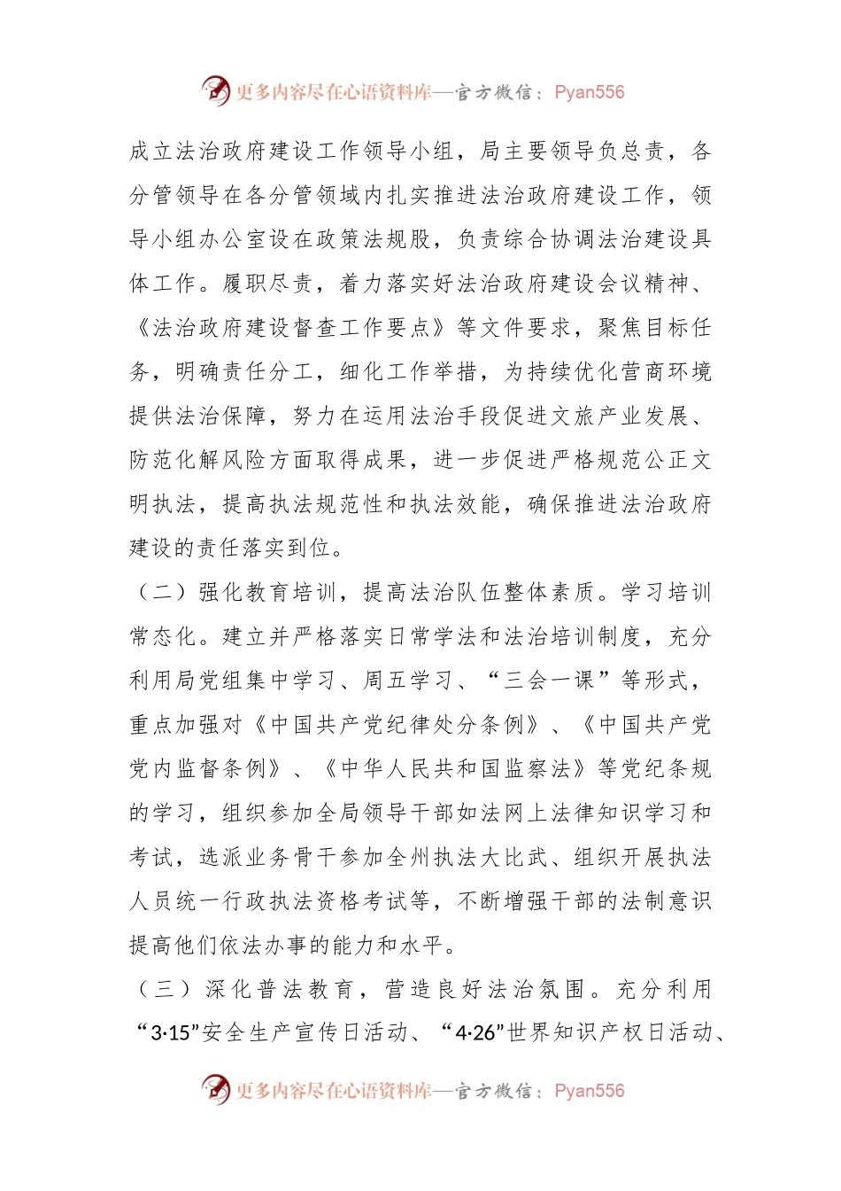 XXX县文化旅游广电局推进法治建设第一责任人职责述职报告.docx_第2页
