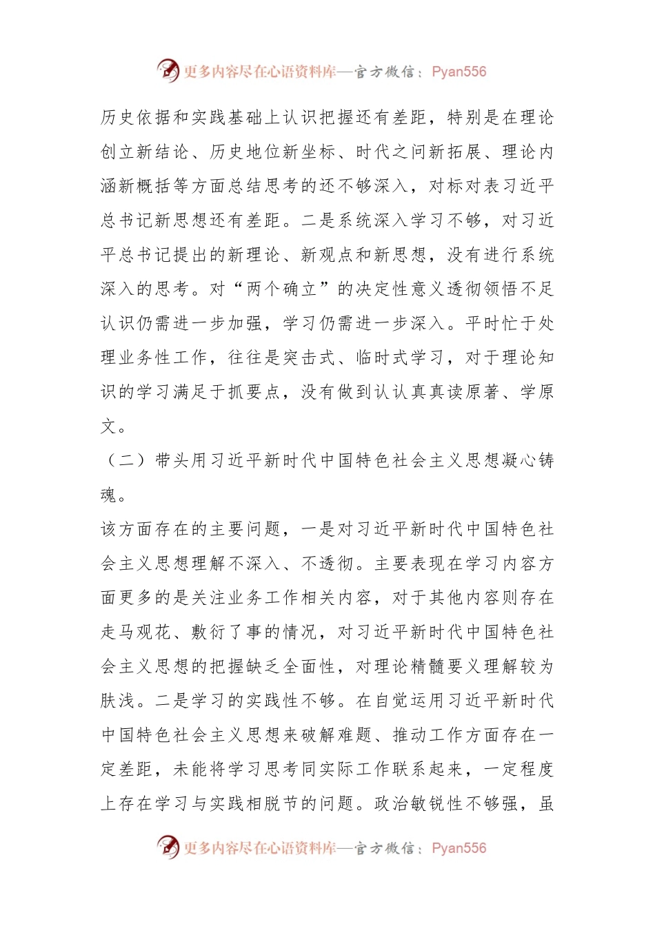 XX副职领导干部20XX年度组织生活会个人发言提纲.docx_第2页