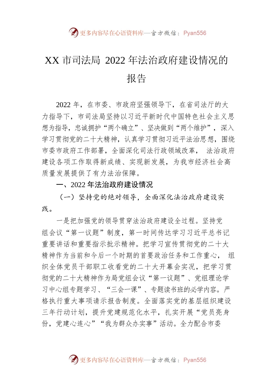 XX市司法局2022年法治政府建设情况的报告（20221228）.docx_第1页