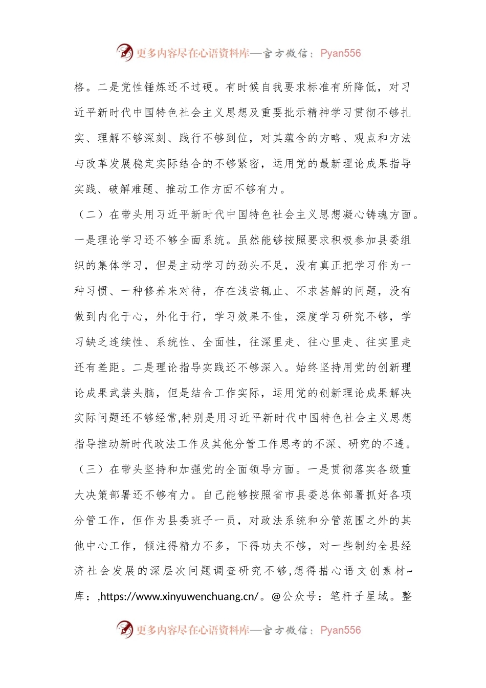Xx政法委书记2022年度民主生活会发言提纲.docx_第2页