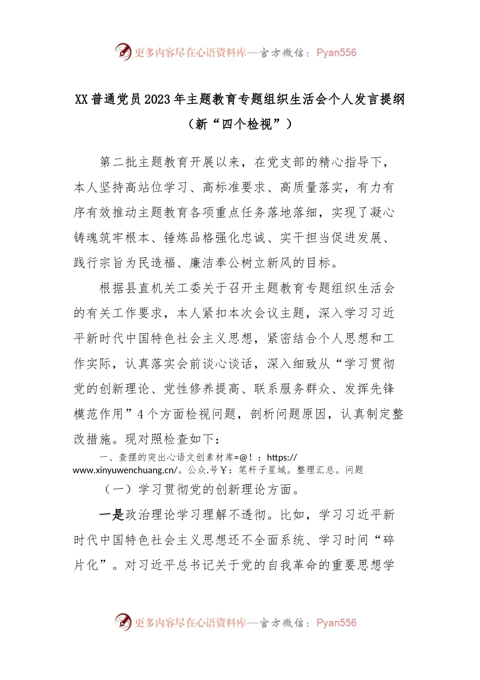 XX普通党员2023年主题教育专题组织生活会个人发言稿提纲（新“四个检视”）.docx_第1页