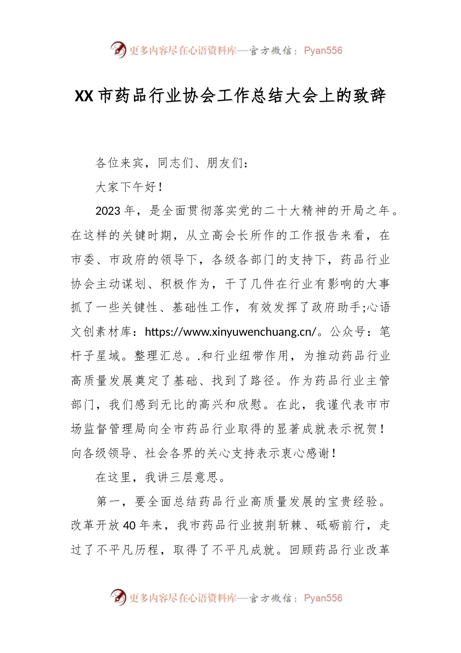 XX市药品行业协会工作总结大会上的致辞.docx_第1页