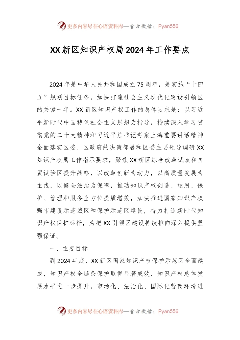 XX新区知识产权局2024年工作要点.docx_第1页
