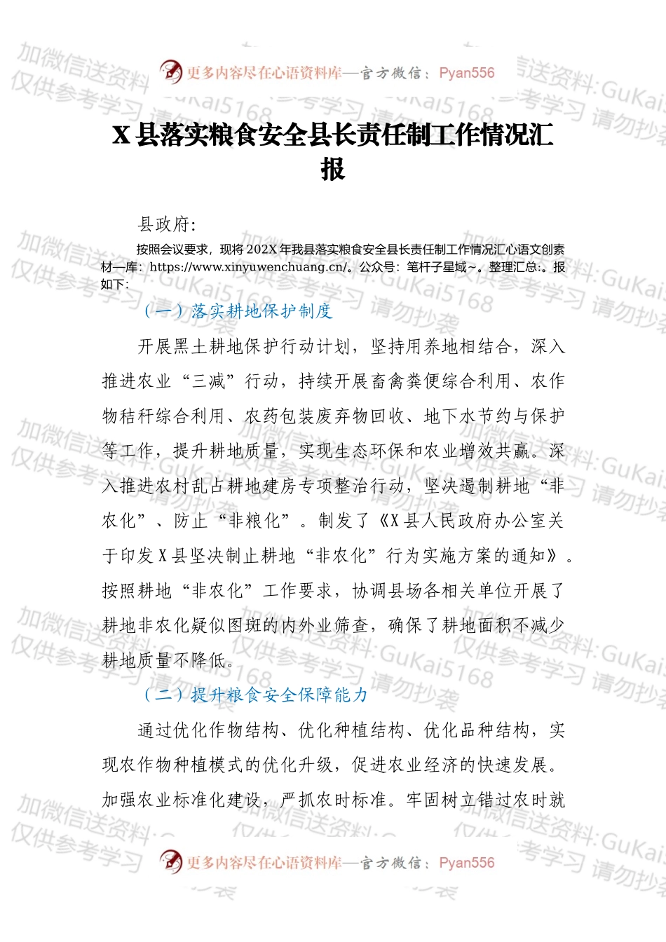 X县落实粮食安全县长责任制工作情况汇报.docx_第1页
