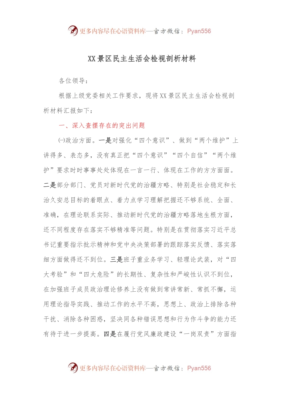 XX景区民主生活会检视剖析材料.docx_第1页
