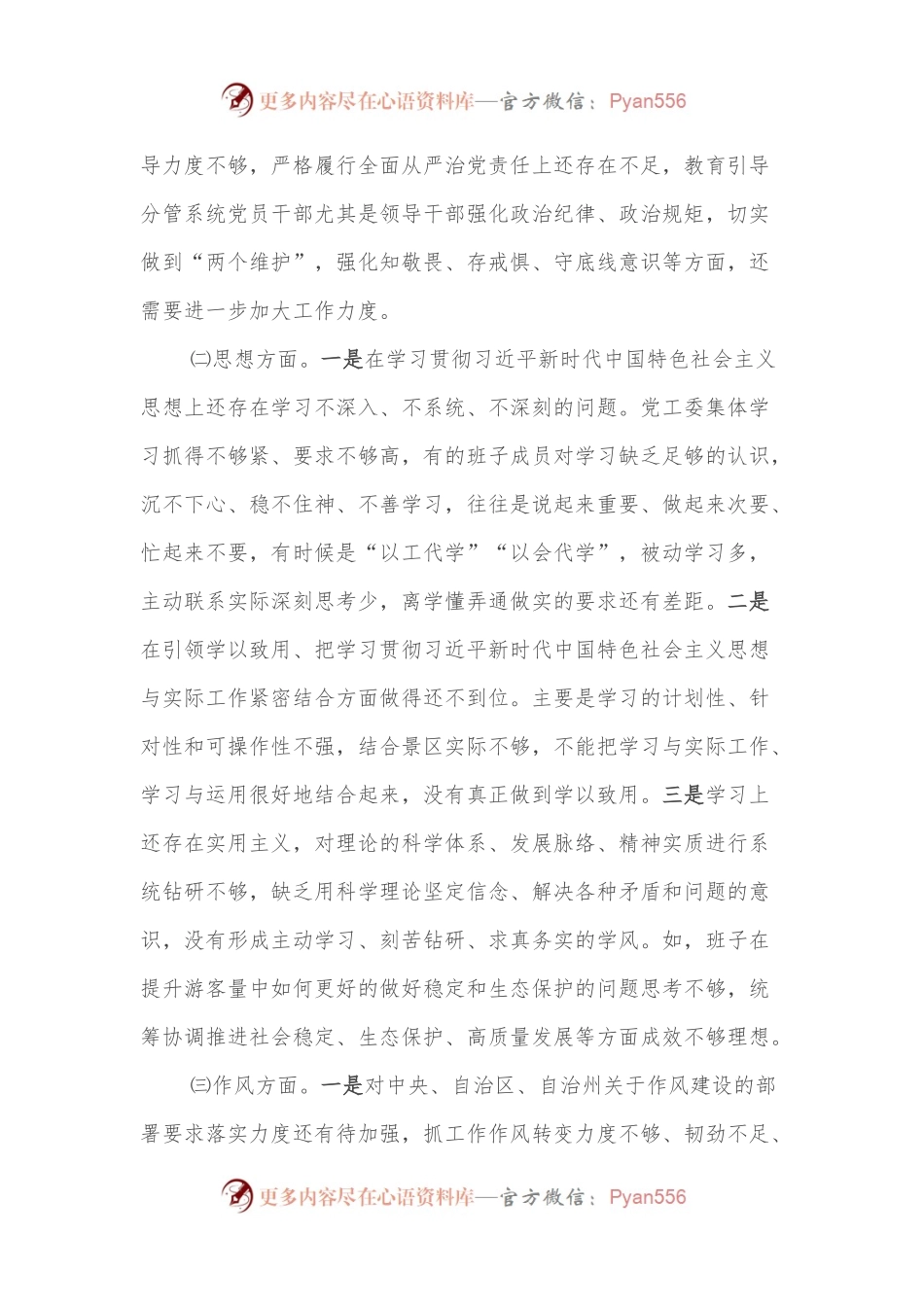 XX景区民主生活会检视剖析材料.docx_第2页