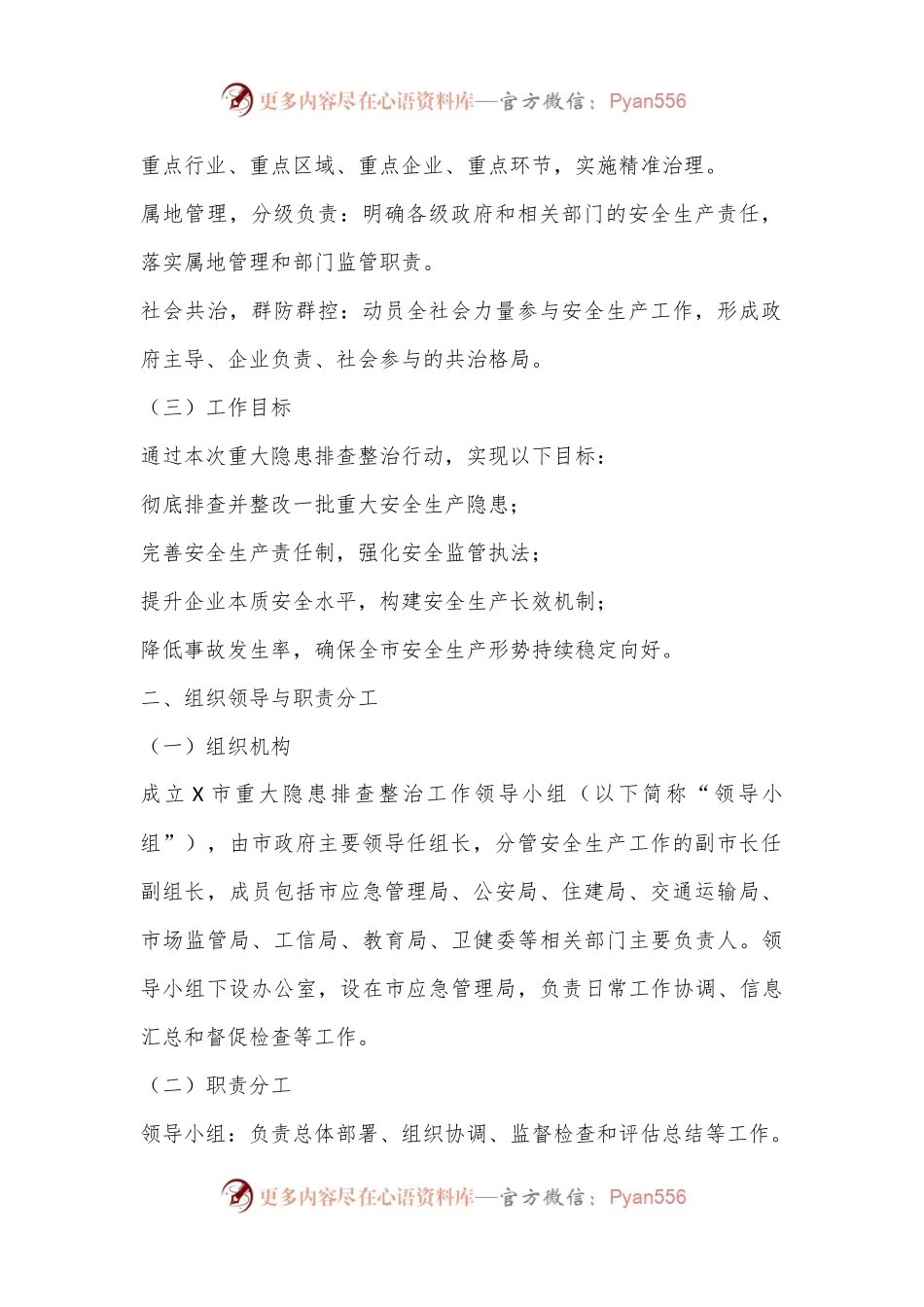 X市重大隐患排查整治实施方案.docx_第2页