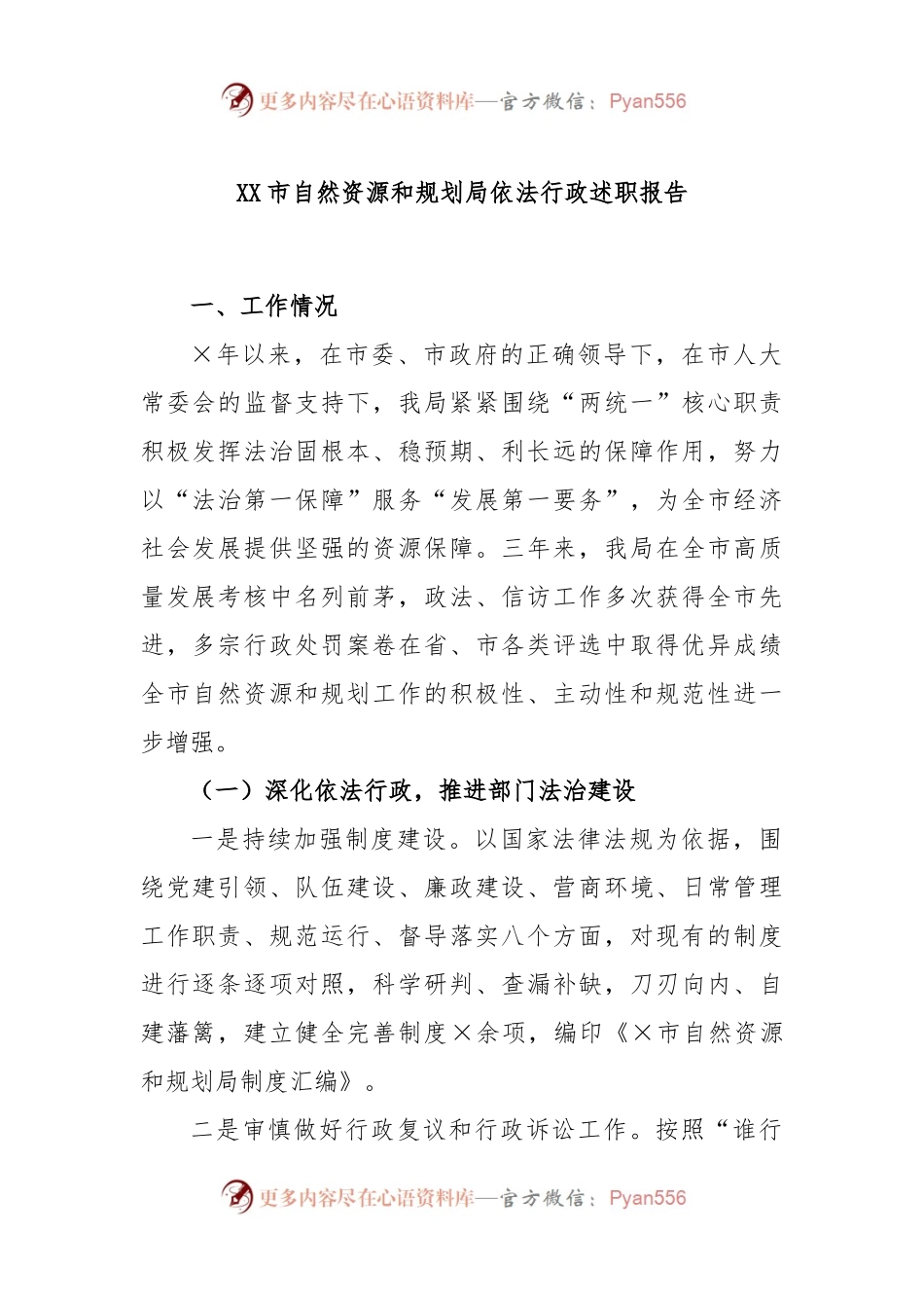 XX市自然资源和规划局依法行政述职报告.docx_第1页