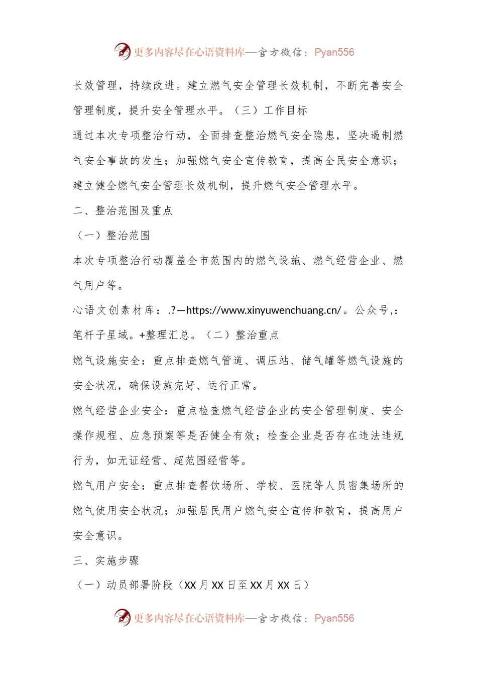 X市城市管理燃气安全专项整治行动实施方案.docx_第2页