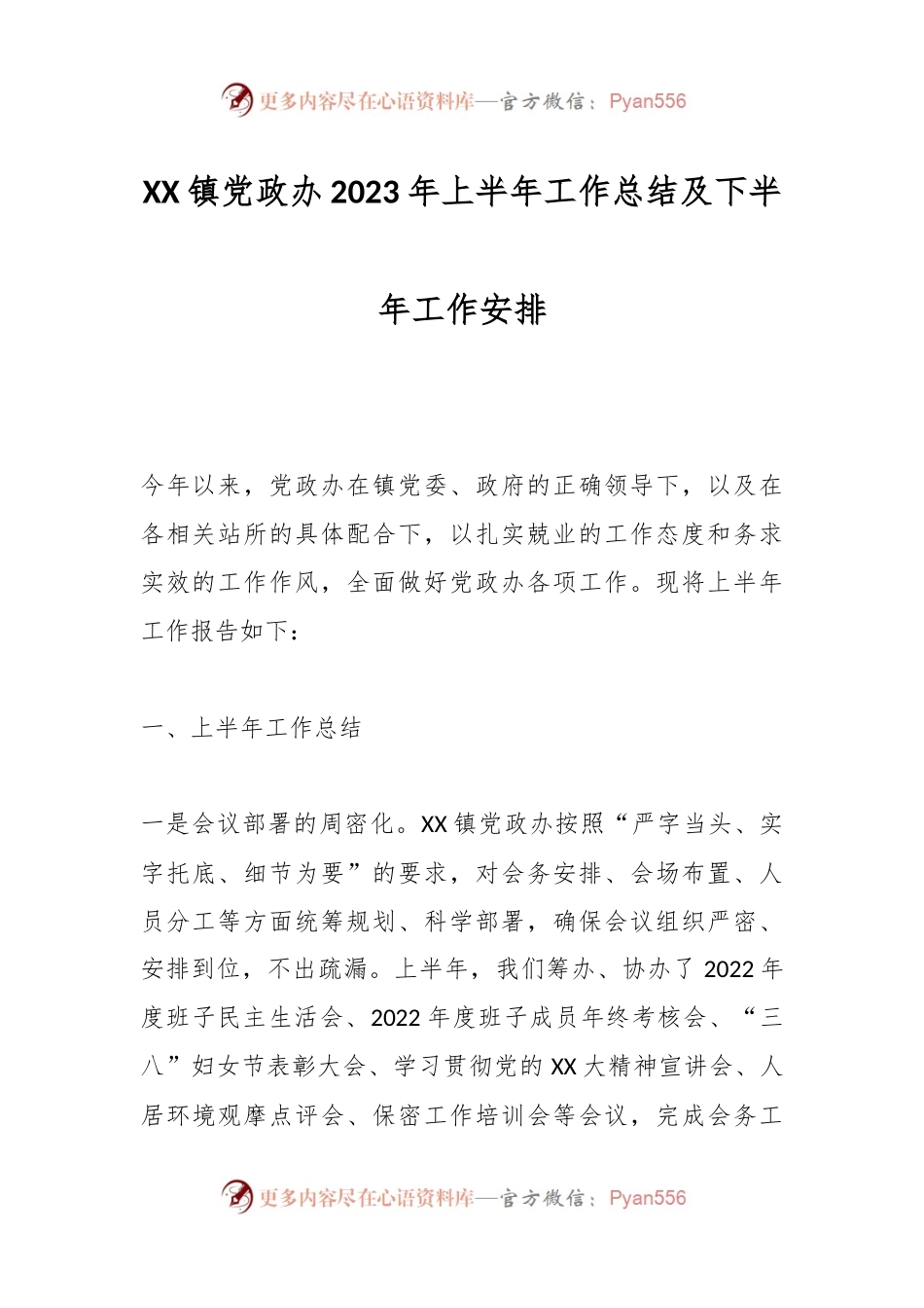 XX镇党政办2023年上半年工作总结及下半年工作安排.docx_第1页