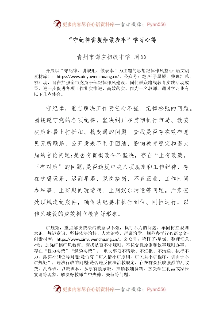 “守纪律讲规矩做表率”学习心得.docx_第1页