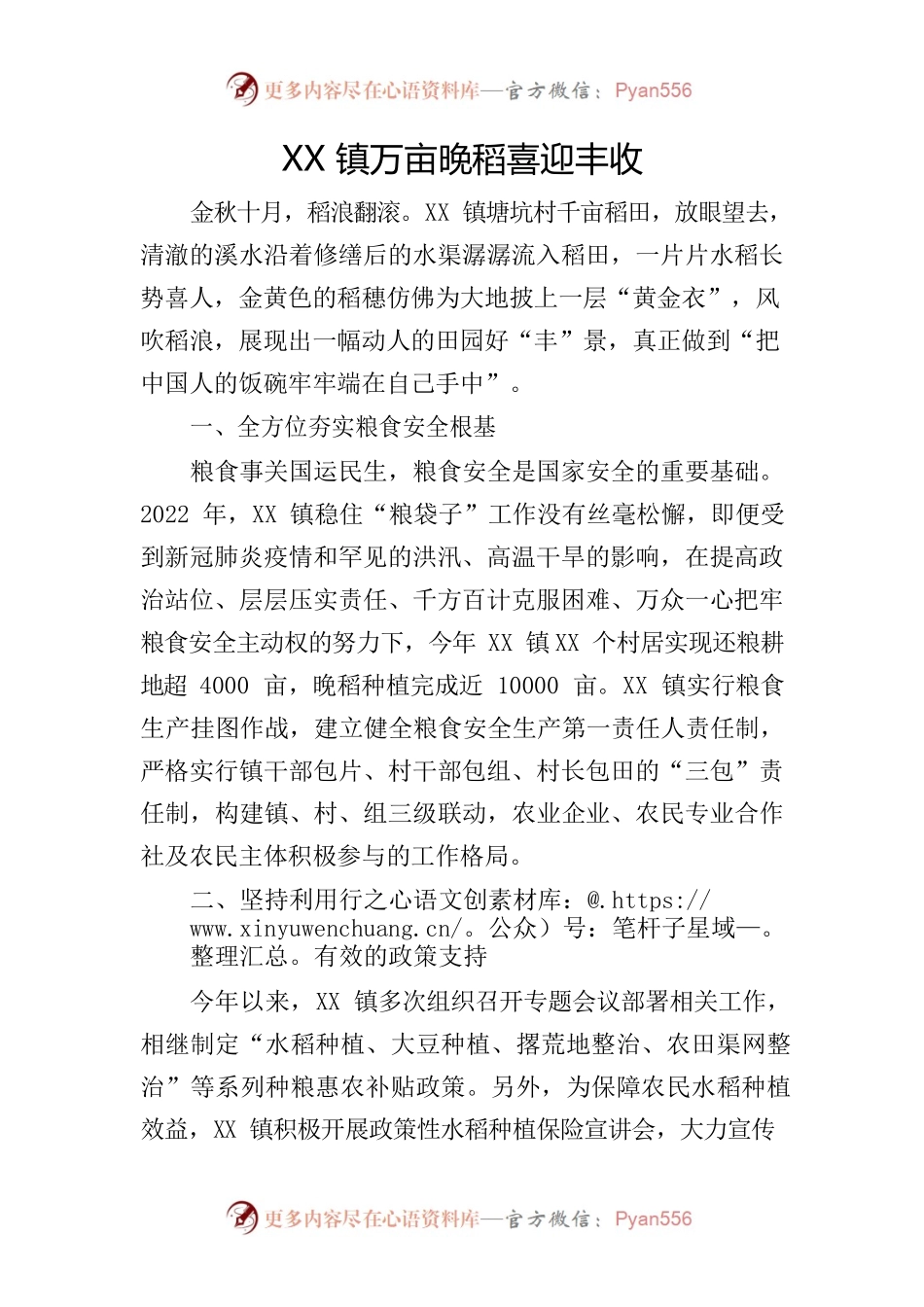 XX镇万亩晚稻喜迎丰收.docx_第1页