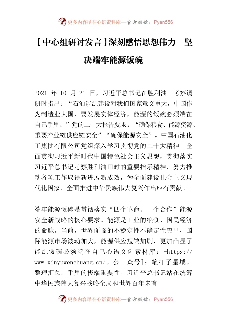 【中心组研讨发言】深刻感悟思想伟力　坚决端牢能源饭碗.docx_第1页