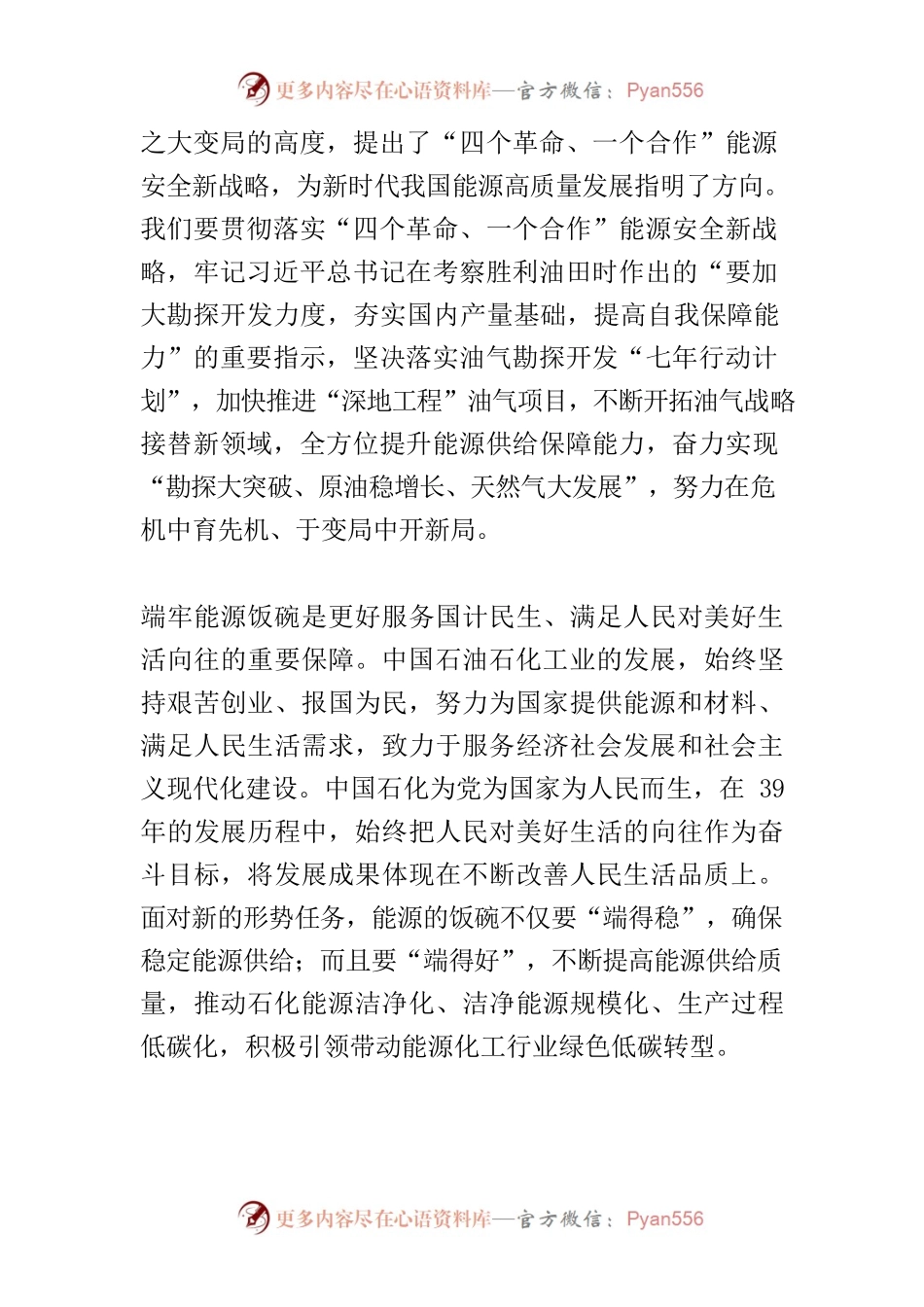 【中心组研讨发言】深刻感悟思想伟力　坚决端牢能源饭碗.docx_第2页