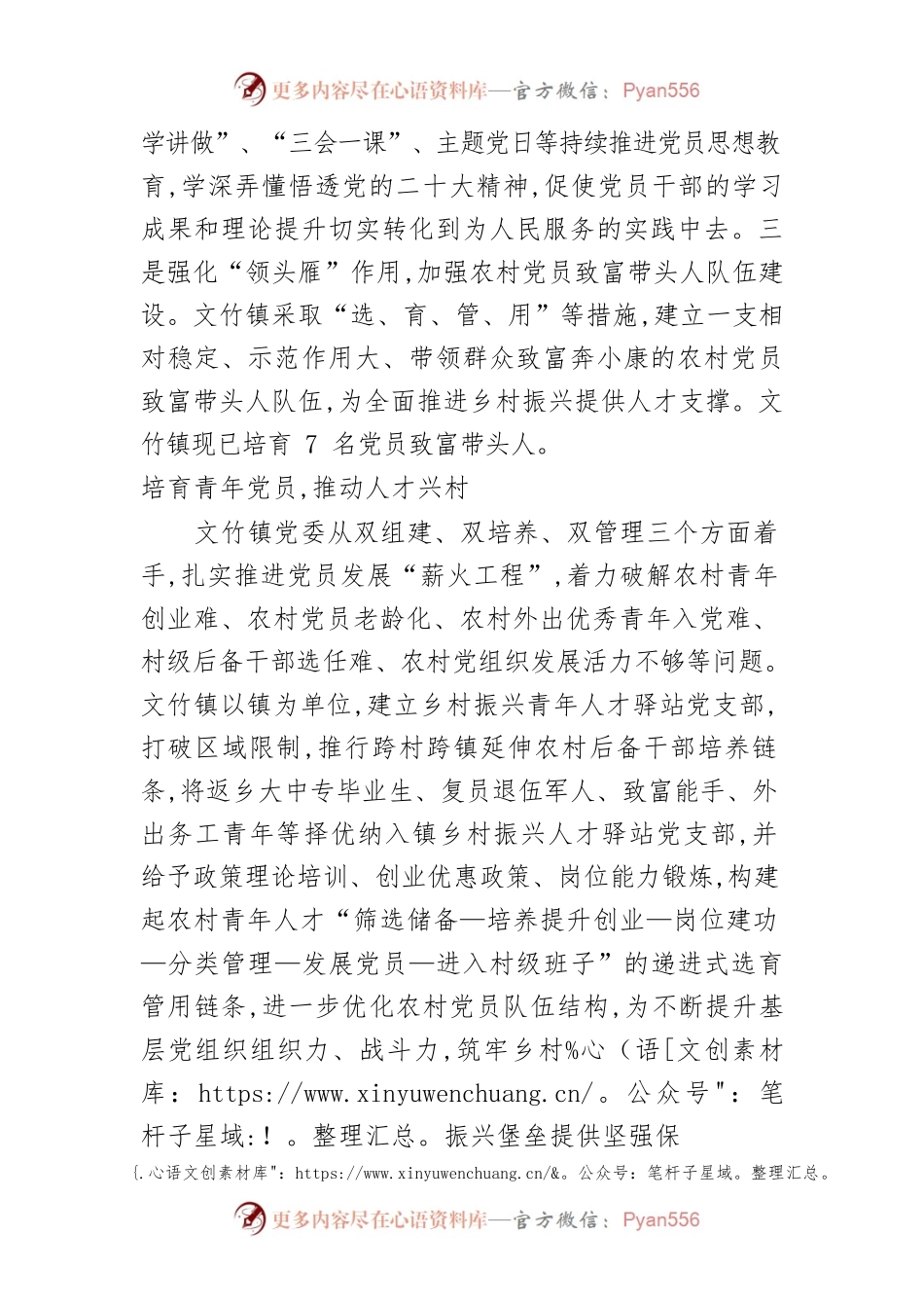 【中心组研讨发言】党建引领促乡村振兴迸发活力.docx_第2页