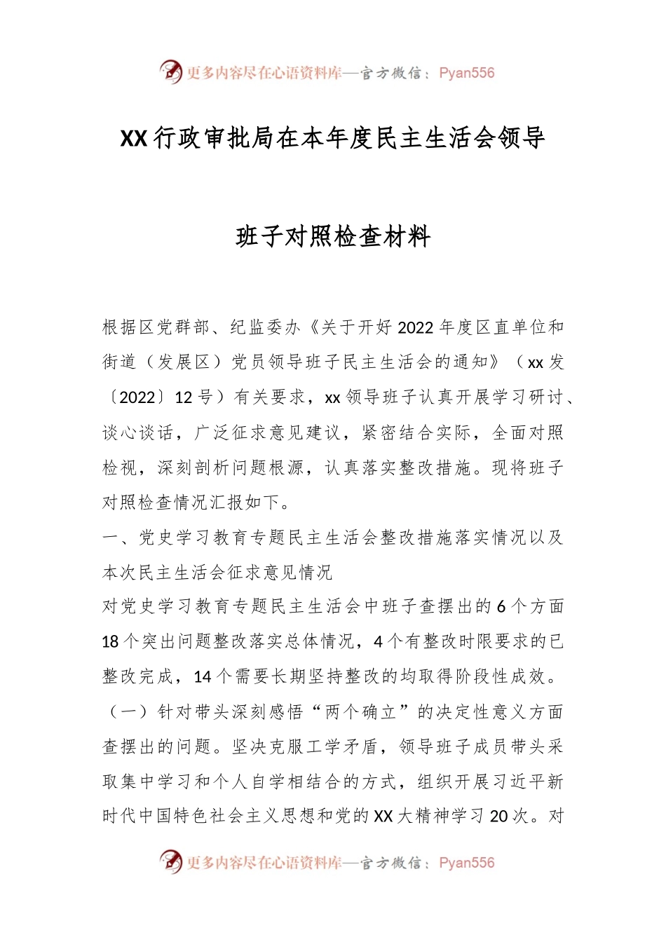 XX行政审批局在本年度民主生活会领导班子对照检查材料.docx_第1页