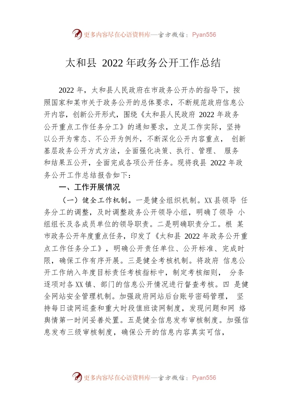 X县2022年政务公开工作总结（20221215）.docx_第1页