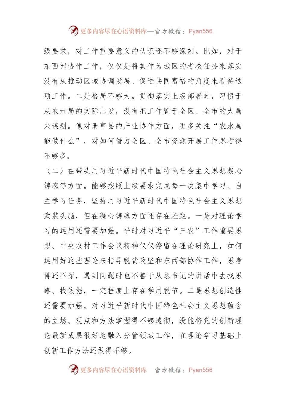 XX某市农业农村局局长“六个带头”民主生活会对照检查材料.docx_第2页