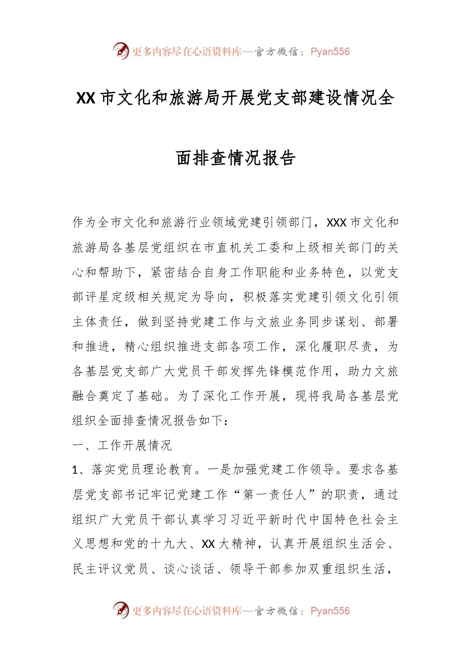 XX市文化和旅游局开展党支部建设情况全面排查情况报告.docx_第1页