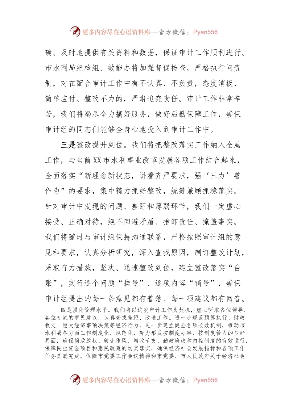 XX市水利局经济责任审计表态发言稿.docx_第2页