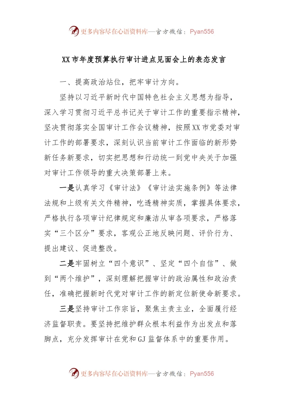 XX市年度预算执行审计进点见面会上的表态发言稿.docx_第1页