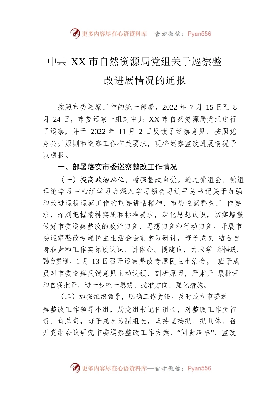 XX市自然资源局党组关于巡察整改进展情况的通报(20230509).docx_第1页