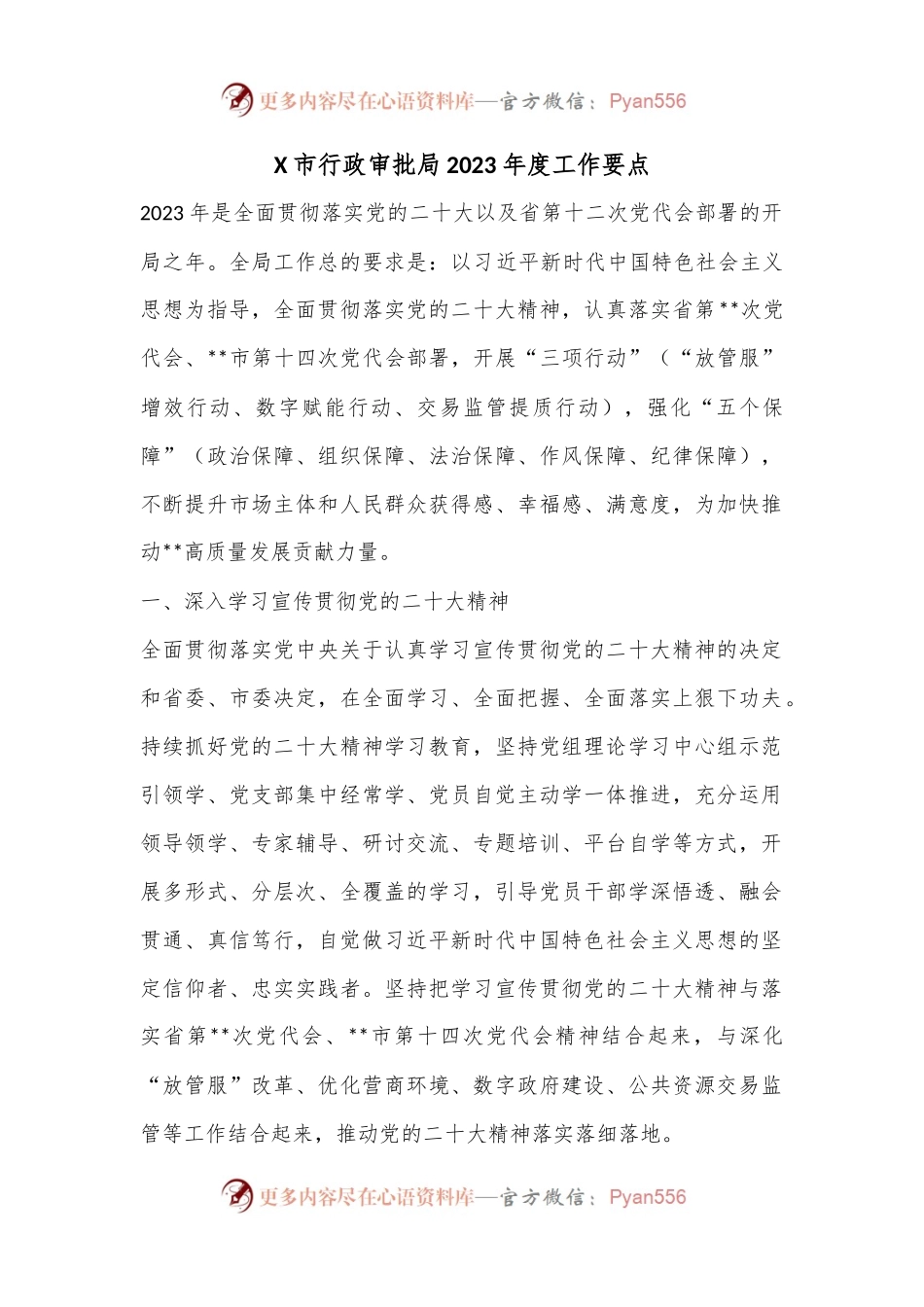 X市行政审批局2023年度工作要点.docx_第1页