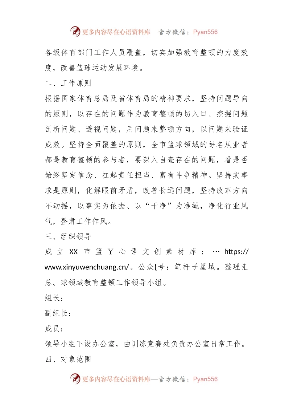XX市篮球领域教育整顿工作方案.docx_第2页
