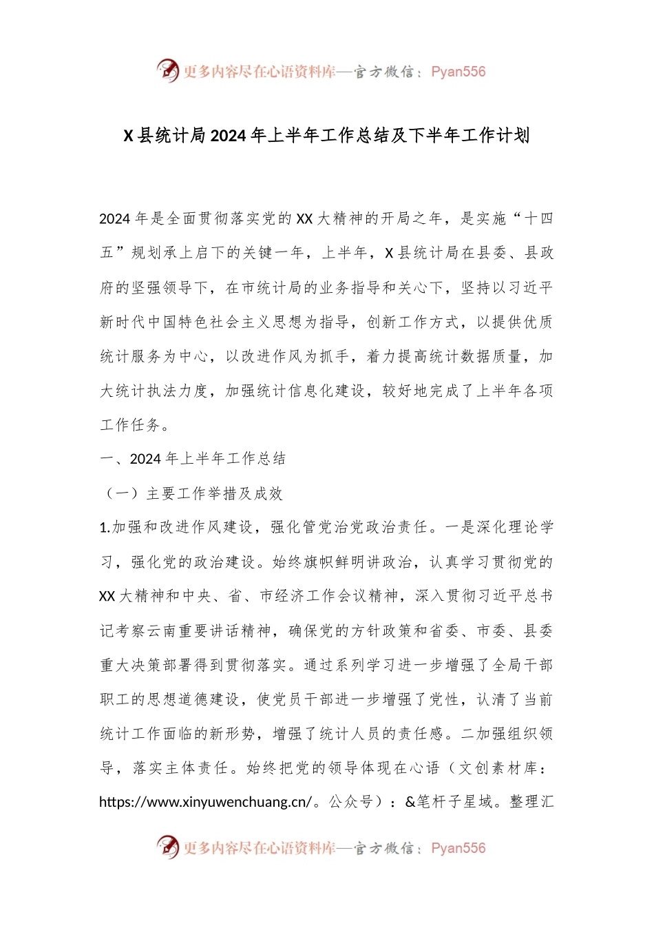 X县统计局2024年上半年工作总结及下半年工作计划.docx_第1页