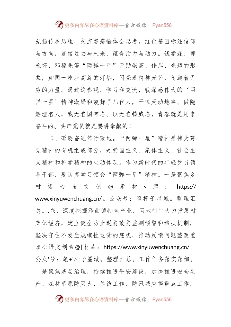 “两弹一星”精神主题教育研讨发言稿材料.docx_第2页