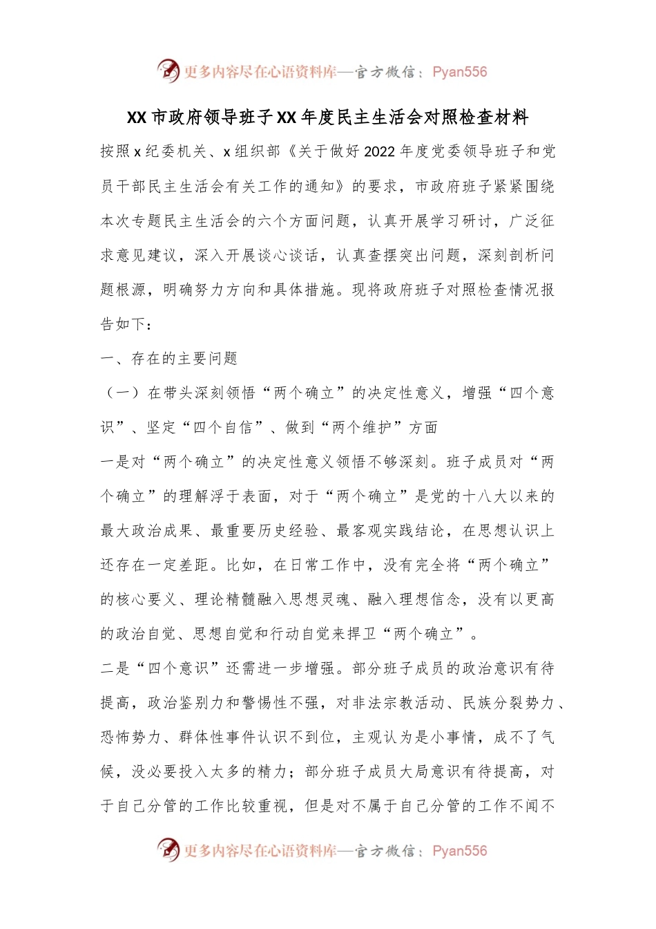 XX市政府领导班子XX年度民主生活会对照检查材料.docx_第1页