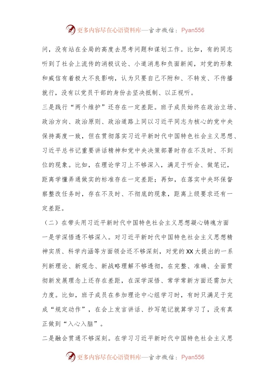XX市政府领导班子XX年度民主生活会对照检查材料.docx_第2页