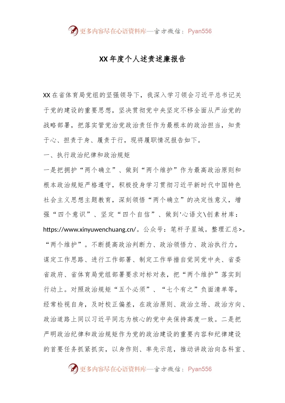 XX年度个人述责述廉报告.docx_第1页