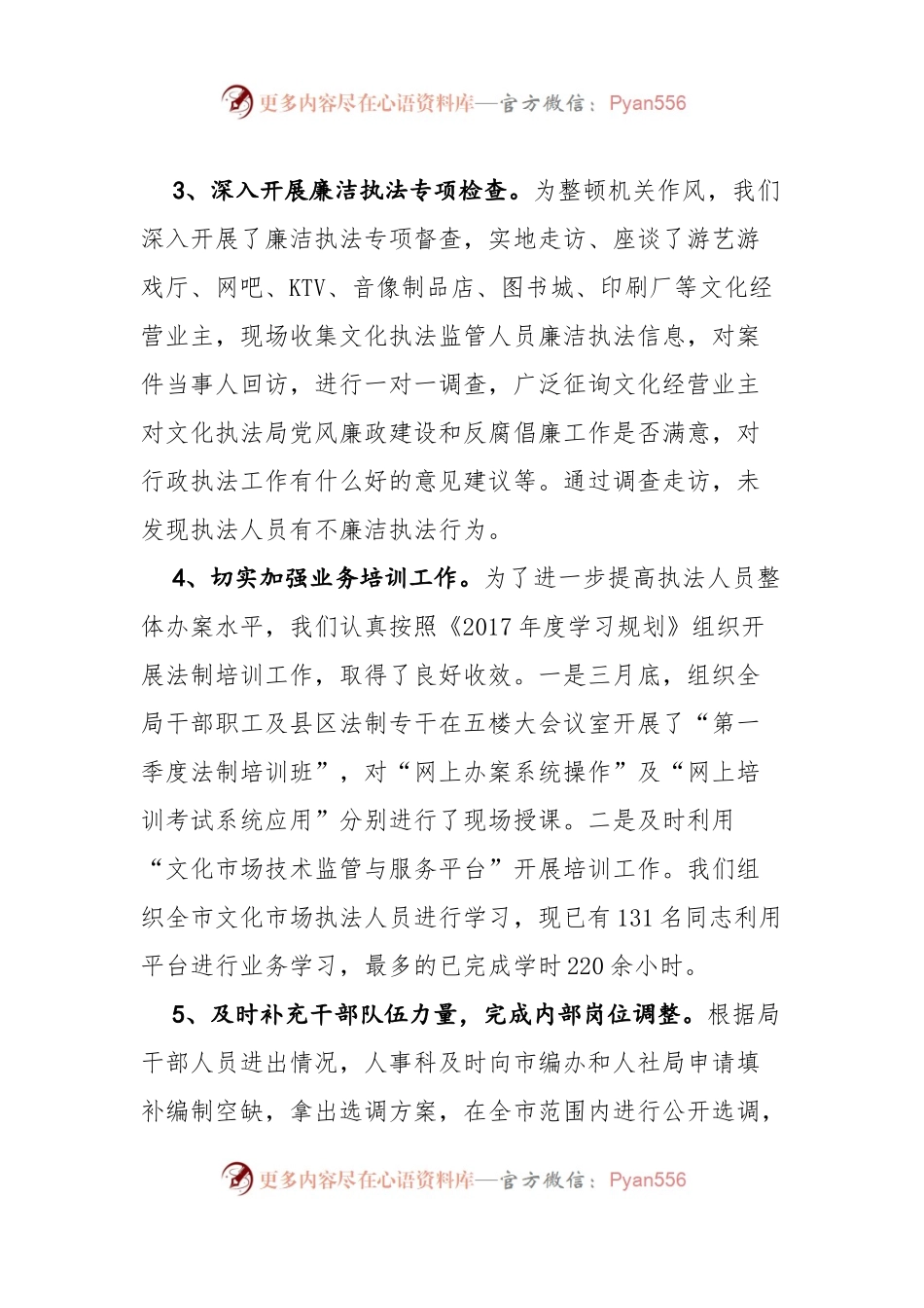 XX市文化市场综合执法局2017年度工作总结.docx_第2页