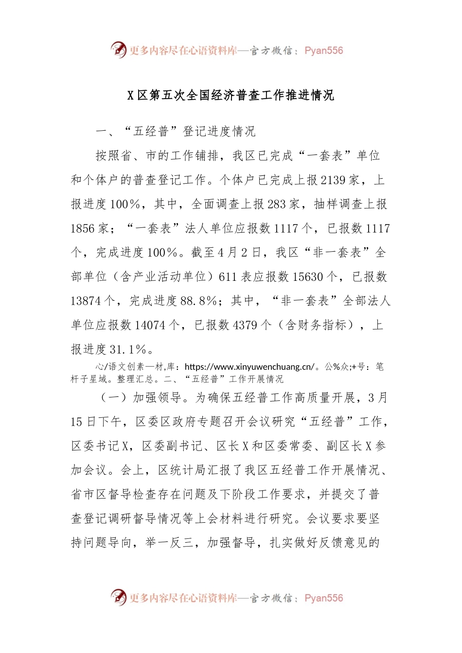X区第五次全国经济普查工作推进情况.docx_第1页