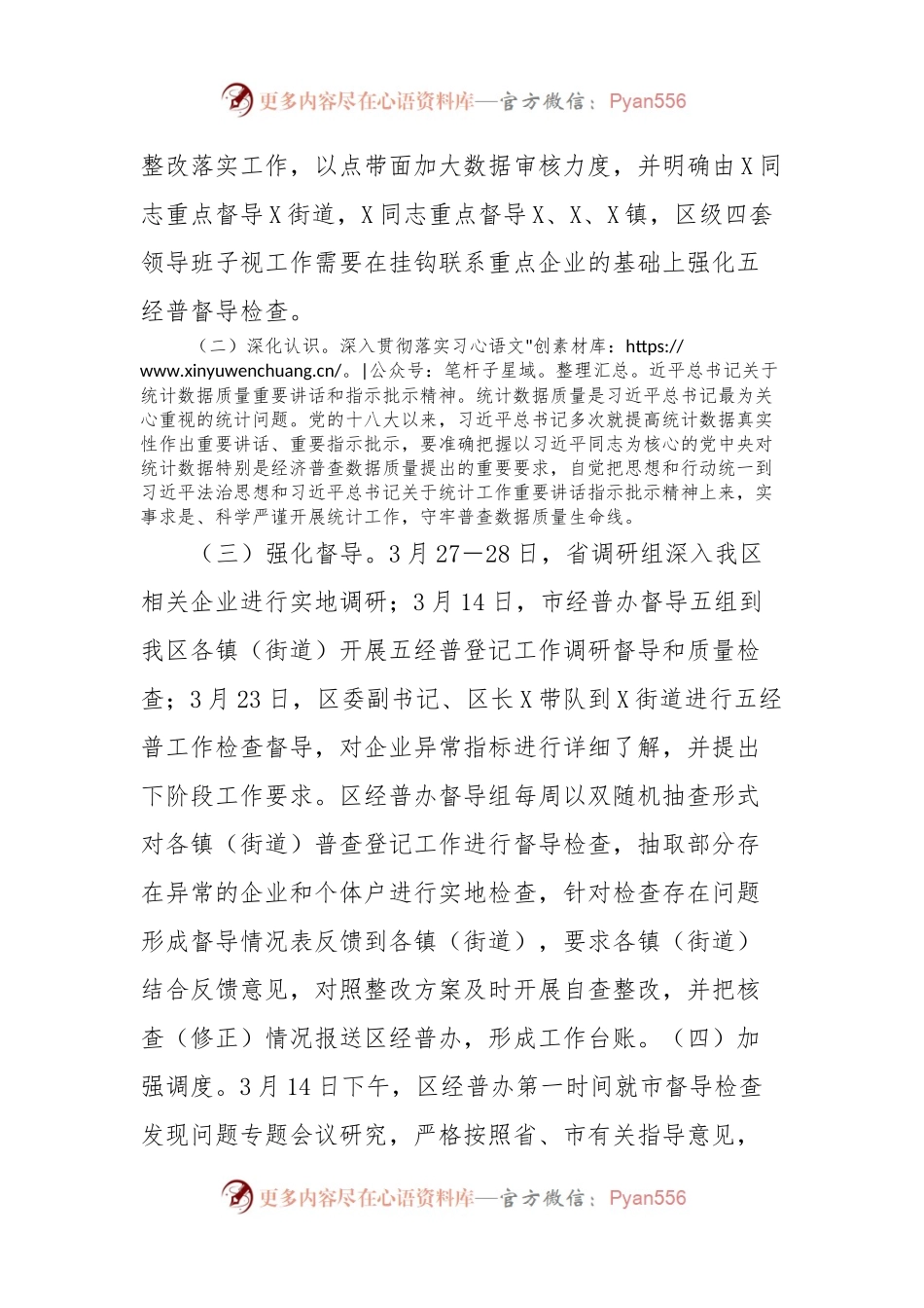 X区第五次全国经济普查工作推进情况.docx_第2页