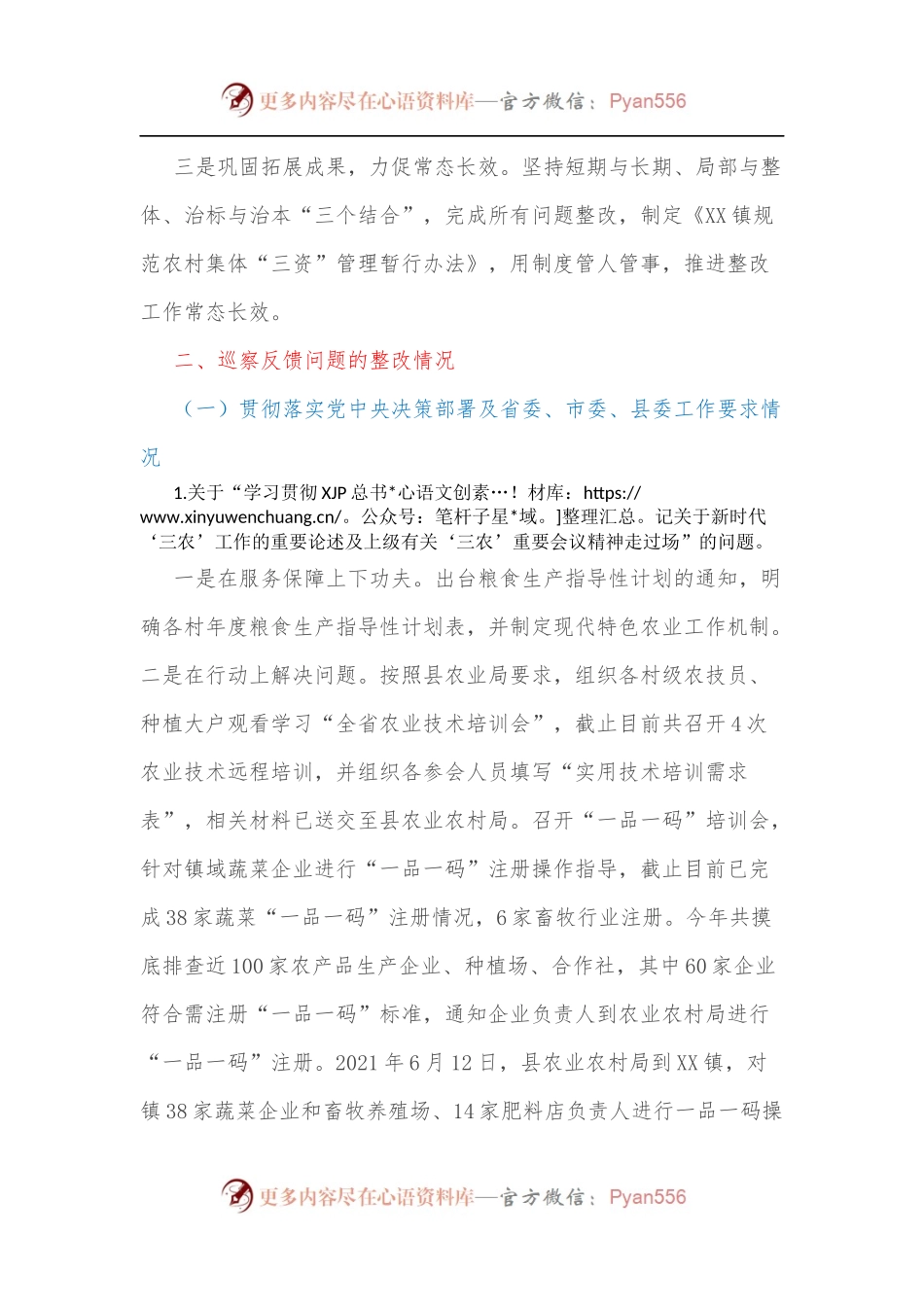 XX镇党委关于巡察整改进展情况的报告.docx_第2页