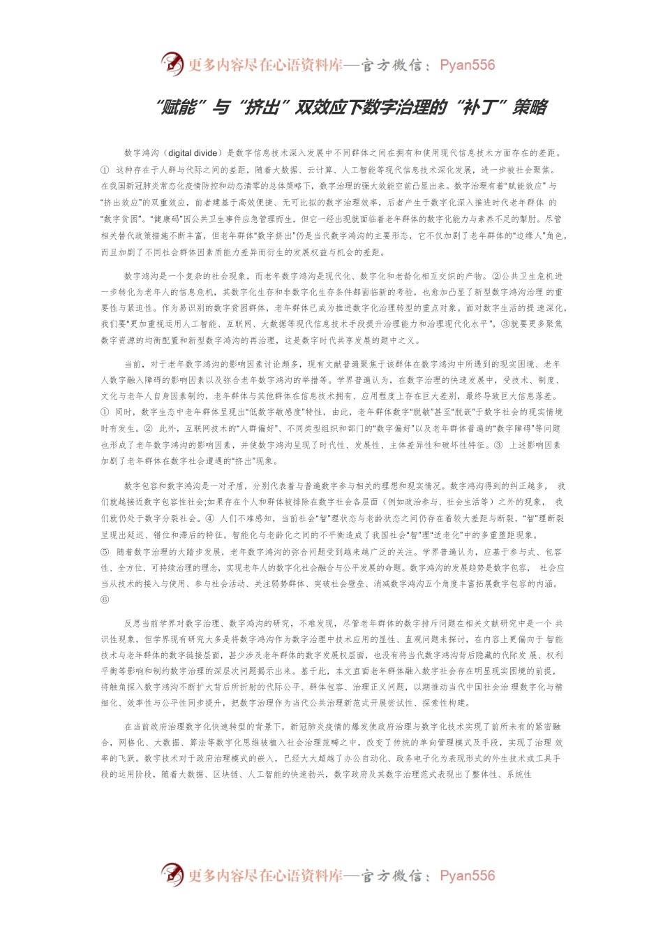 “赋能”与“挤出”双效应下数字治理的“补丁”策略.docx_第1页