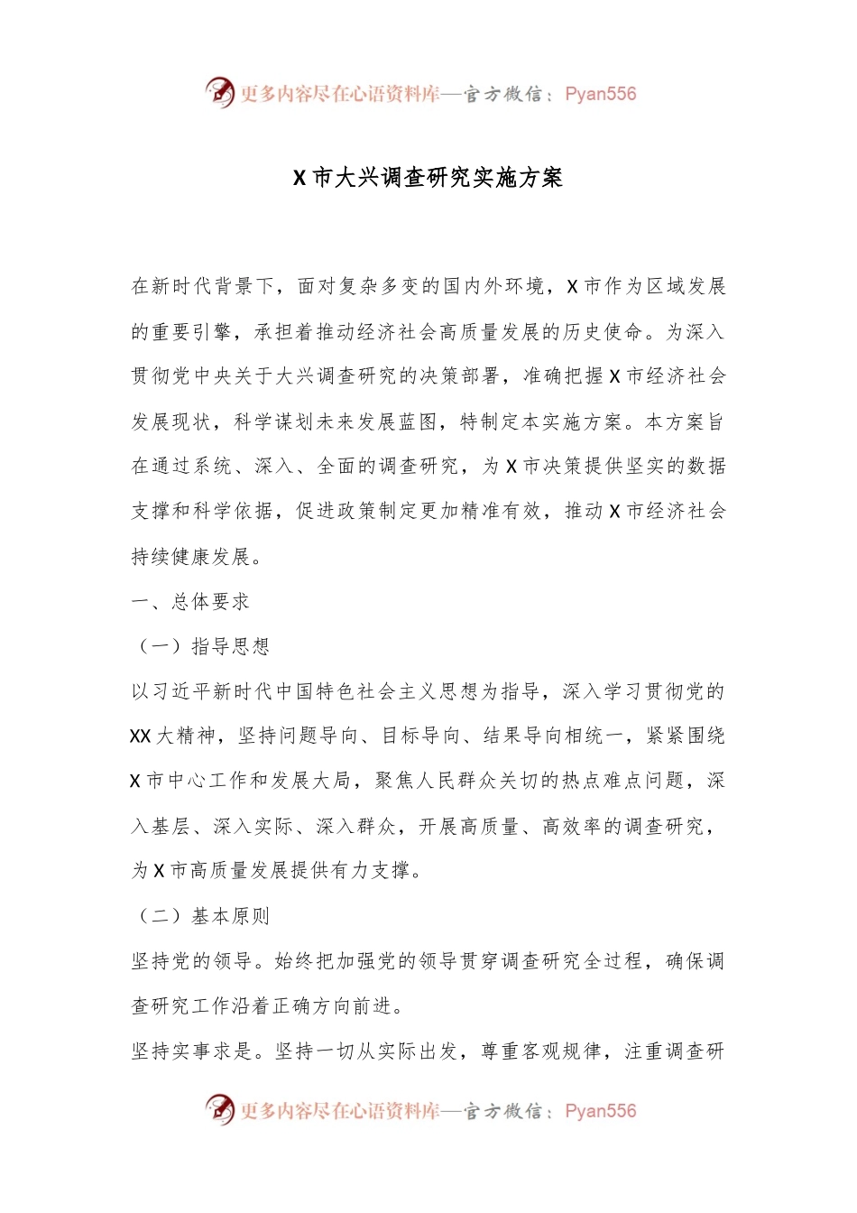 X市大兴调查研究实施方案.docx_第1页