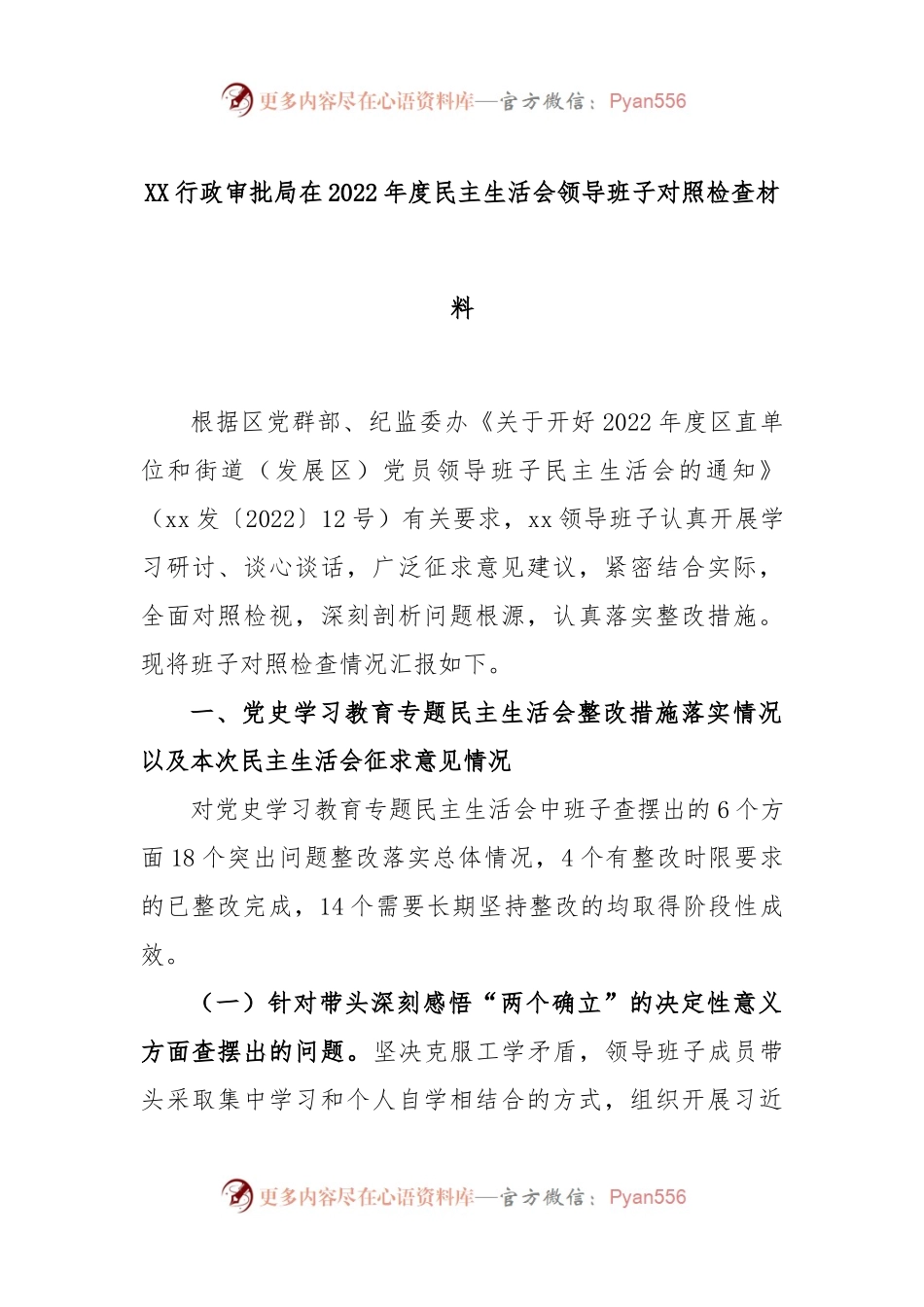 XX行政审批局在2022年度民主生活会领导班子对照检查材料.docx_第1页
