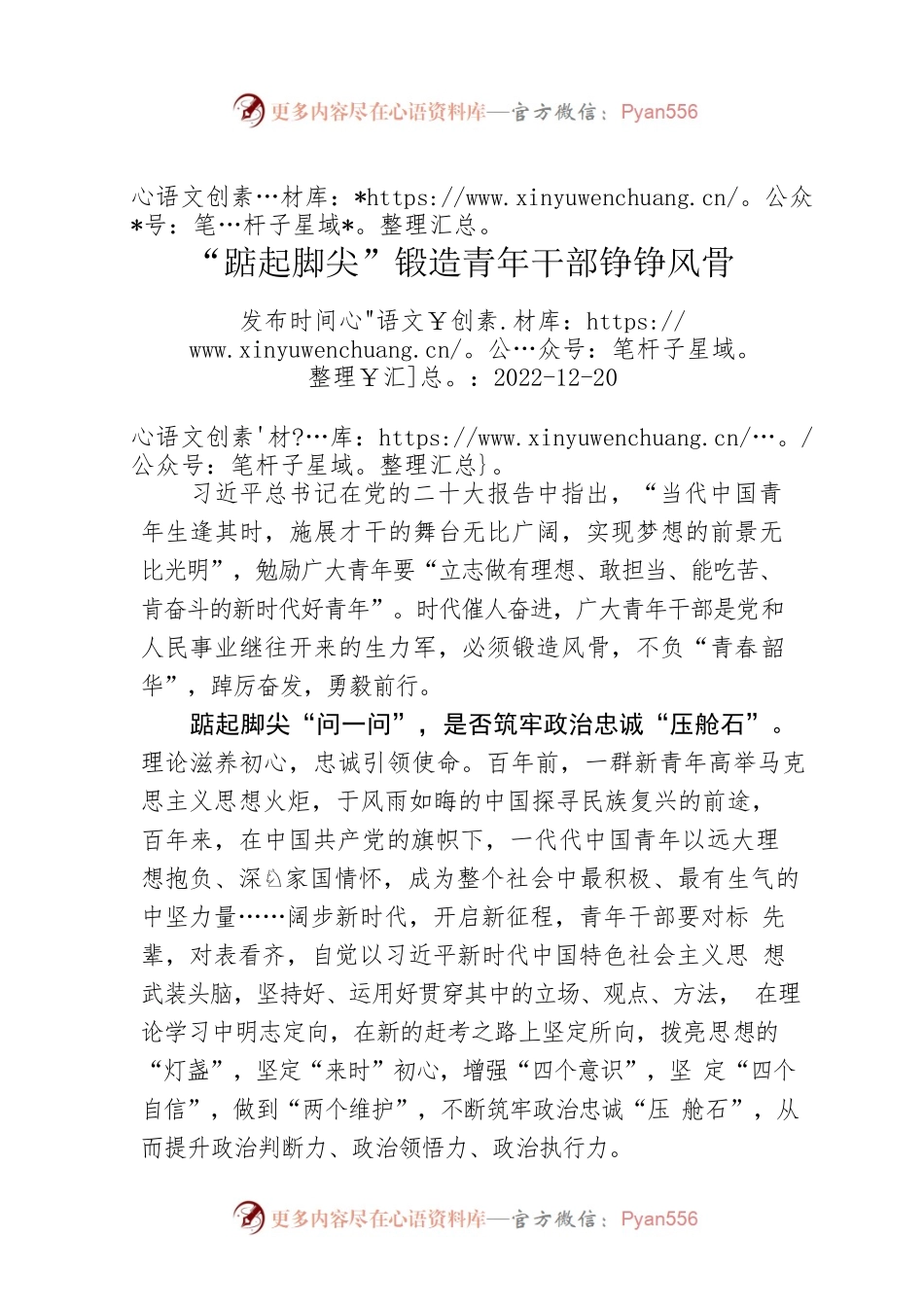 “踮起脚尖”锻造青年干部铮铮风骨.docx_第1页