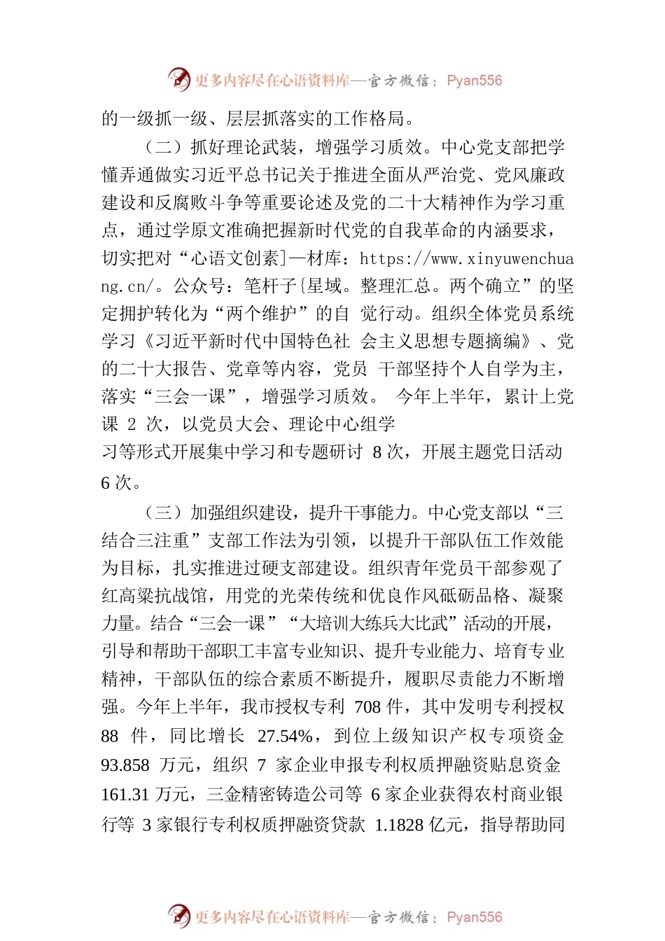 XX市知识产权事业发展中心党支部2023年上半年落实全面从严治党主体责任情况报告（20230724）.docx_第2页